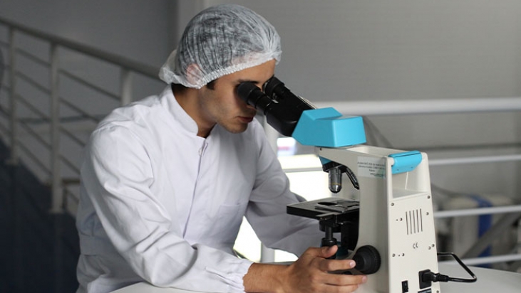 Programa de apoyo económico de AAAeIC a la investigación